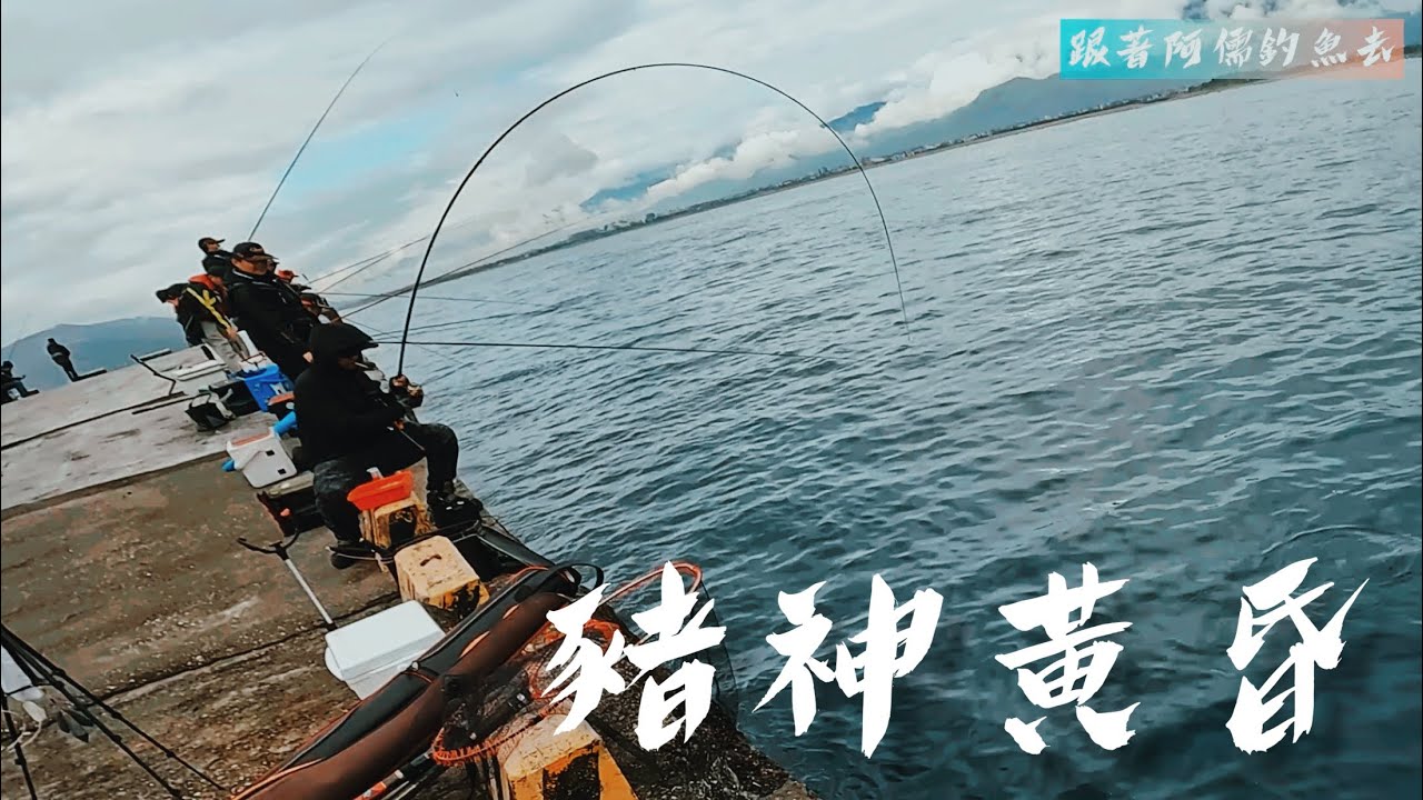 這個男人太狠了｜簡直是天豬地滅｜豬他九族｜花蓮港東堤豬圈破洞啦