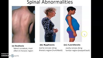 Human Anatomy Chapter 7: The Axial Skeleton Part 2