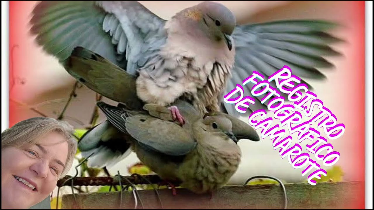 Na hora certa e no lugar certo com a Kodak disparo contínuo.