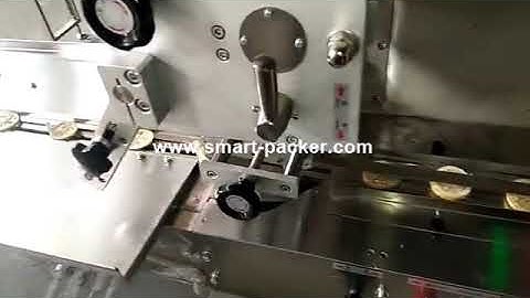 Fully automatic flow pack pillow bag lemon slice piece bag packaging machine testing video