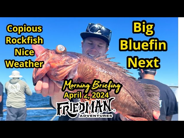 Friedman Adventures presents at the Tackle Shop with Sam de La Torre from Island  Fishing Tackle 