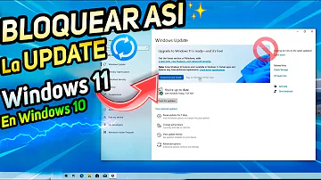 ¿Cómo puedo evitar Windows 11?