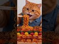 Cat Mukbang ＃FoodASMR #asmr #catvideo #eatingshow #mukbang #orangecat ＃Shorts ＃ASMR