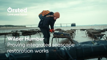 Wilder Humber: Showing how integrated seascape restoration can work