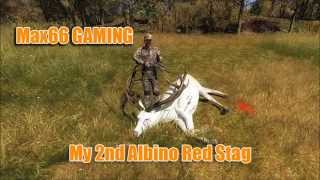 Max66 GAMING  The Hunter  2nd Albino Red Stag screenshot 5