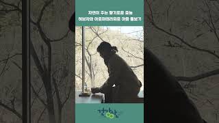 [마음충전소] 하늘과 숲, 물과 교감하며 아로마테라피로 마음 돌보는, 트리비움 video