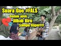 Suara Gue #FALS - Prank Ngamen sama Adek jilbab biru | Bojonegoro