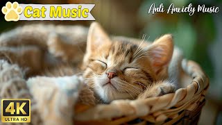 Peaceful music helps cats relax and calm down | Relax Your Cat! Music for cats by Music For Cats 531 views 10 days ago 23 hours