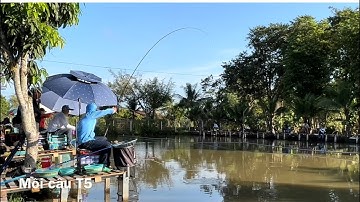 CÂU RÔ PHI HỒ DỊCH VỤ