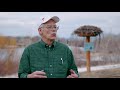 Exploring NorthWestern Energy's Avian Protection Programs