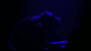 Keeley Forsyth & Matthew Bourne - Anxiety @Tivolivredenburg Utrecht (2/4)