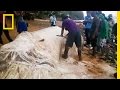 Mga Sukat at Tema ng Video