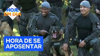 Cão Farejador Se Aposenta Após Sete Anos Dedicados Ao Combate Ao Tráfico De Drogas Com A Pm De Sp