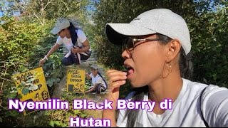 NYEMILIN BLACK BERRY DI HUTAN BERDUA DENGAN SUAMI😍