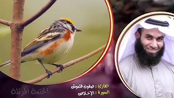 سورة الإخلاص | الختمة المرتلة | القارئ صفوت قلموش .HD