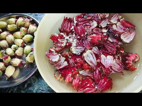 Kudrum ke phool ki chutney ll Ambadi phool ll लाल फूल वाली कुदरूम चटनी ll rosella phool ll