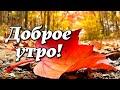 Доброе утро! В чём счастье? Счастье - просто жить! Красивая музыкальная открытка С Добрым утром