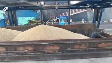 TOF LiDAR Sensor Enables Precise Auto Loading | Industrial Automation Test