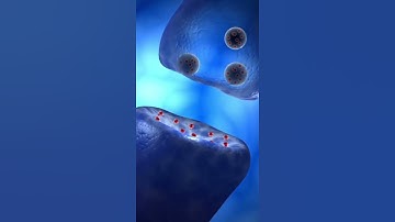 How neurotransmitters move from synaptic cleft