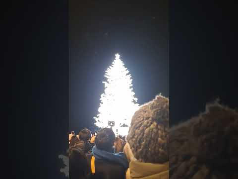 2025.12.25　函館クリスマスファンタジー　最終日