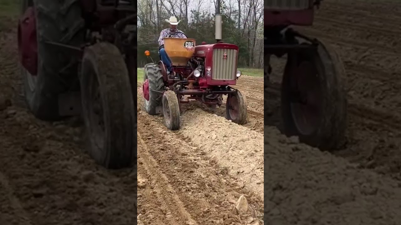 Silver Queen Sweet Corn Planting Time !