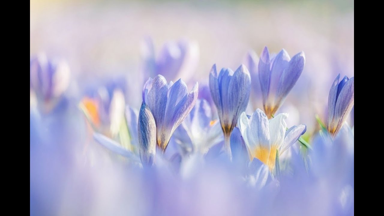 Ormoni bioidentici nella donna: fakes e verità