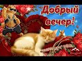 Добрый вечер ! Красивое пожелание Доброго вечера ! С добрым вечером мои котики 😸 ! Good evening😺 !