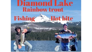 Diamond Lake fishing report for April 4th( hot bite) Rainbow trout