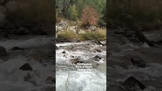 Flowing along Bends &amp; Rapids: Be adaptable Like water in the River!! #water #riverflow #travel #vlog