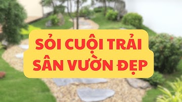 Sỏi Cuội Trang Trí Sân Vườn | Đá Trang Trí Sân Sân Vườn 0989657172