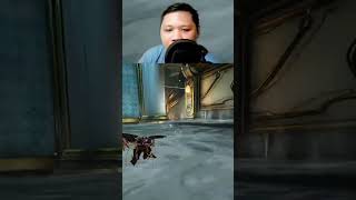 The PERFECT Pavlov Objective C Run! ⚡ | Warframe Lua Spy Guide