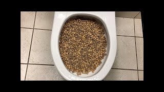 Will it Flush? October/November Week 1 Compilation