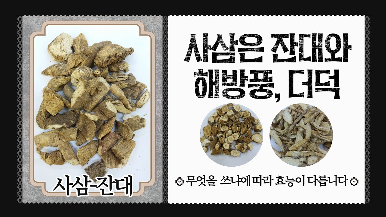 네이버 인플루언서