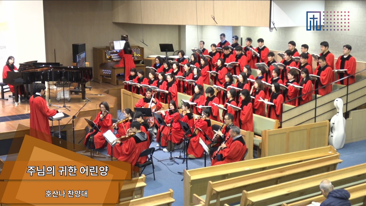 [2026.02.22] 주님의 귀한 어린 양 | 호산나 찬양대