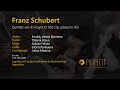 Franz Schubert String Quintet In C Major D 956 Double Bass Version SixPiccato Ensamble 