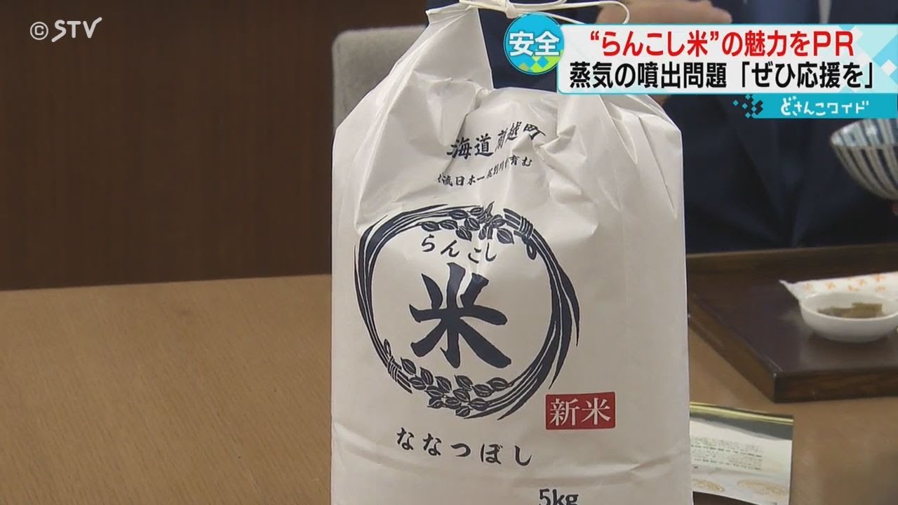 2024年10月北海道 で収穫した 松の実12kg Not giving in to reputational damage: Providing harvested