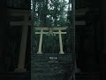 【和歌山】日本一の滝が美しすぎた…！