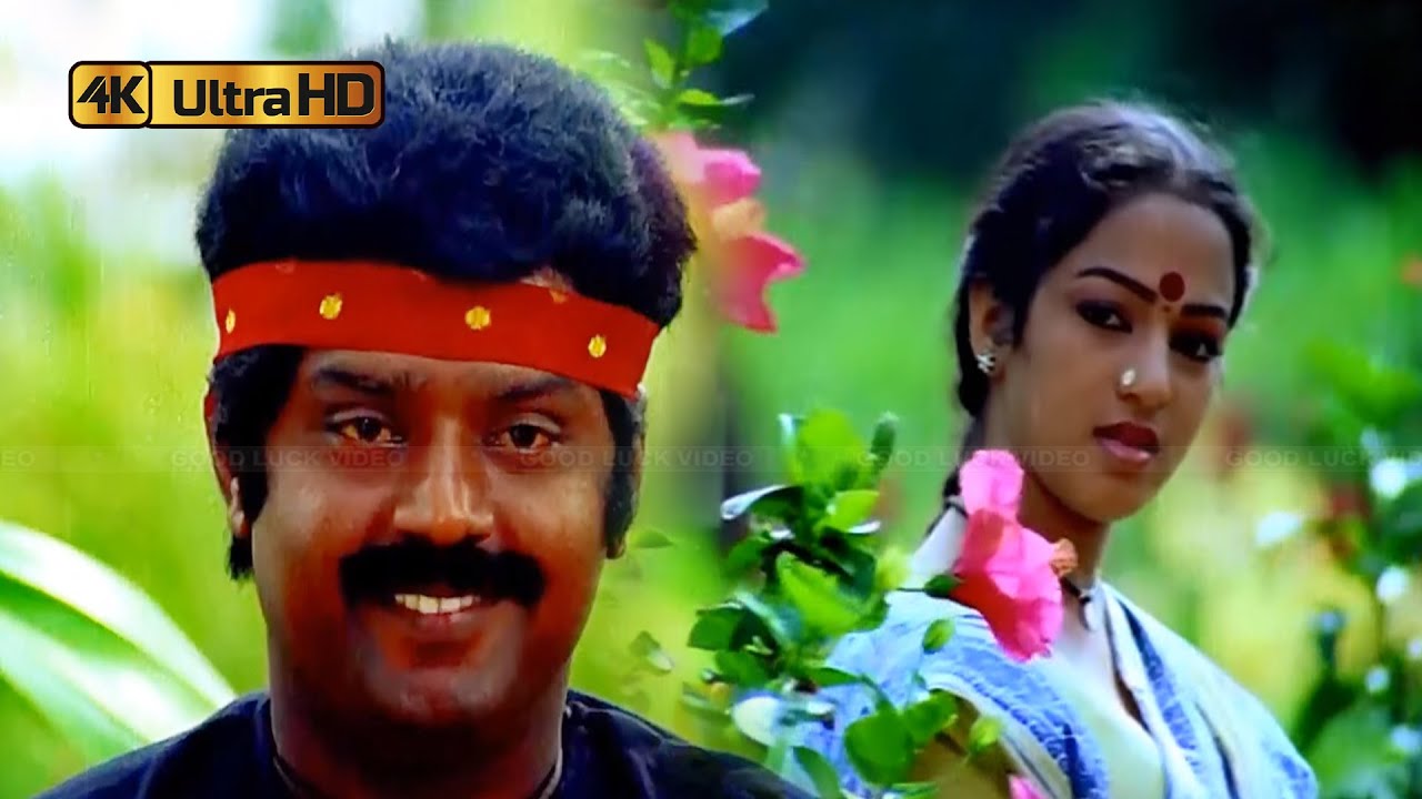       Kattukulla Kadhal Kiliye song  S Janaki  Vijayakanth