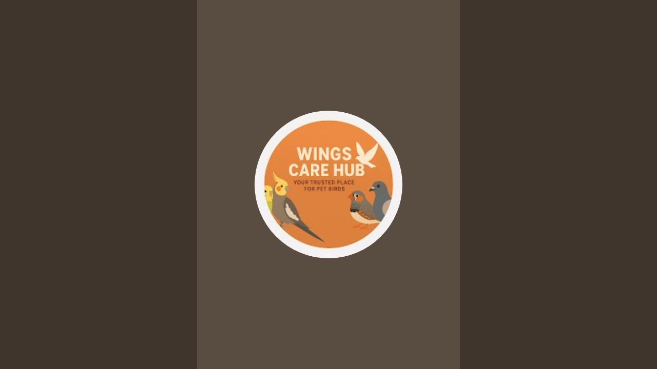 Wings care hub is live!