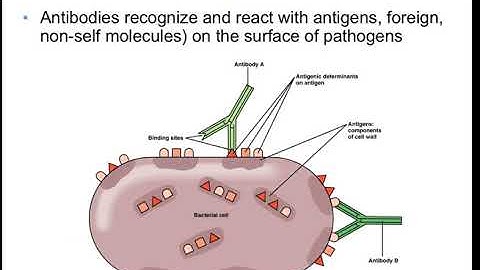 Ch17a  Specific Defenses of the Host