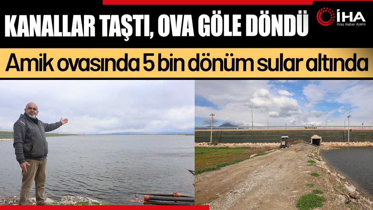 Amik Ovası Yeniden Göl Oldu: Binlerce Dönüm Arazi Sular Altında