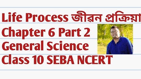 Life Process || জীৱন প্ৰক্ৰিয়া Chapter 6 Part 2 || General Science Class 10 SEBA NCERT