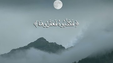 سورة الشمس: والسماء وما بناها