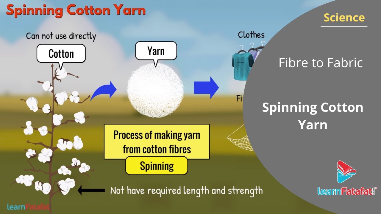 Fibre to Fabric Class 6 Science - Spinning Cotton Yarn 