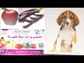 كروت الكلام الذكي هتزودي بيها حصيلة ابنك اللغويه والمعرفيه والادراكيه الطفل الذكي 