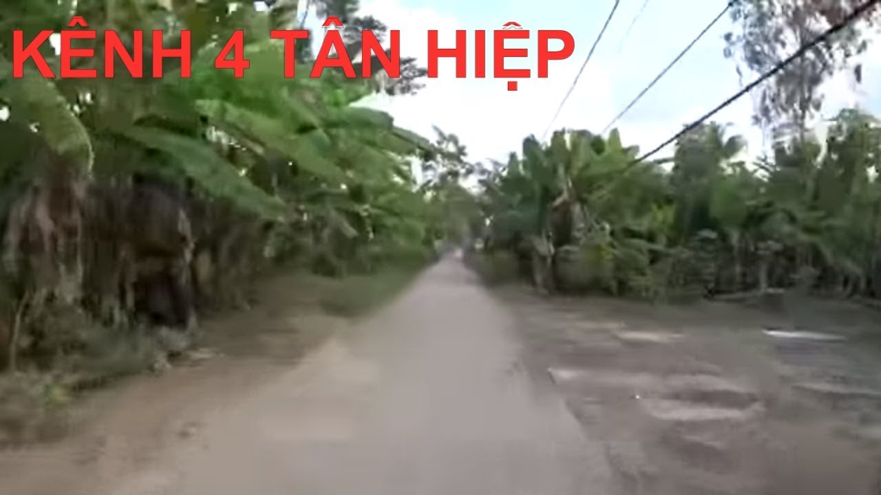 Kênh 4 Tân Hiệp những ngày gần Tết  | Vietnam today | Ký Sự Miền Tây