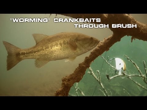 How to Fish a Crankbait Through Brush (Worming) 