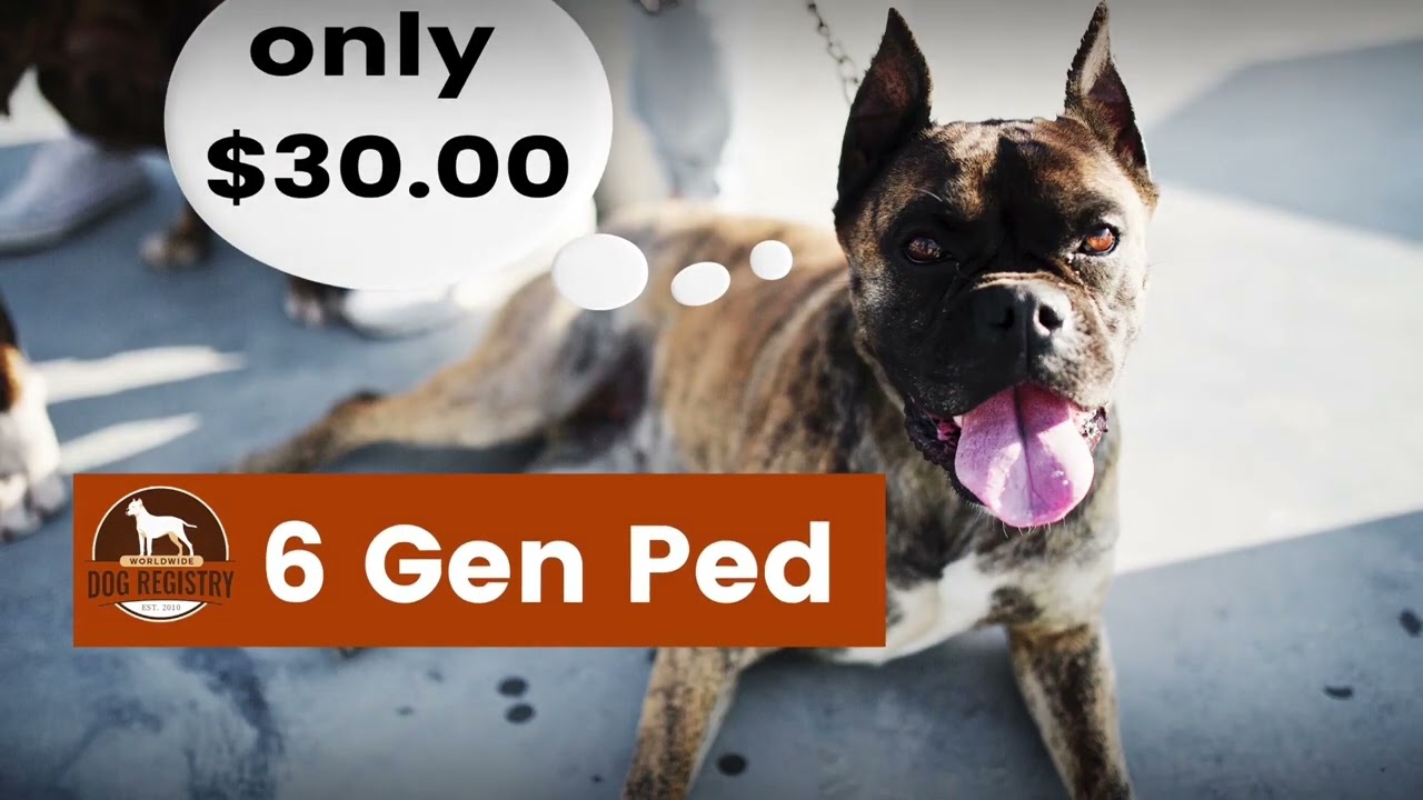 Worldwide Dog Registry🚨