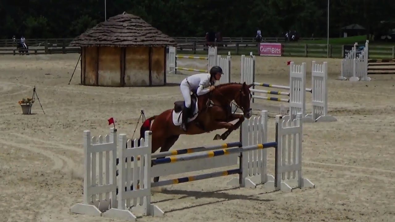 Thoroughbred Makeover Update: Sharpie at the 2018 Chattahoochee Hills Summer I Horse Trials