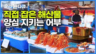 새벽부터 어부 남편이 해산물 바로 잡아와 아내가 직접 판매까지 하는 홍게잡이┃30년 주문진 어민 수산시장 홍게잡이┃바닷가 사람들┃#골라듄다큐